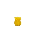 róża.png