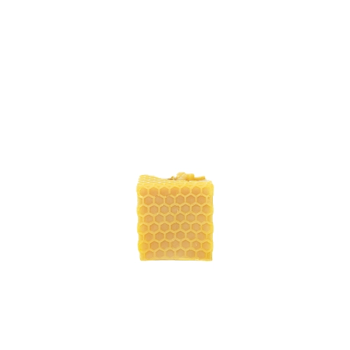 plaster miodu.png